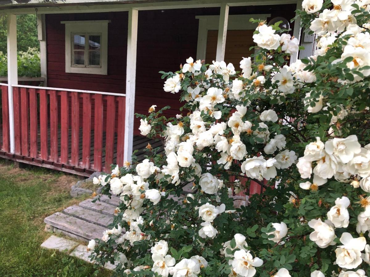 Apartament Pakola Viitasaari Zewnętrze zdjęcie